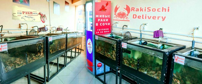 Доставка раков в Сочи Доставка раков в Сочи