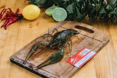 Раки Сочи оптом Раки Сочи оптом