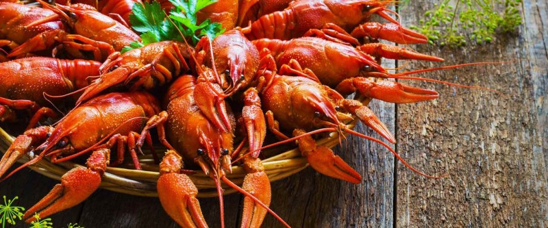 Раки в Сочи оптом