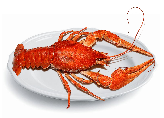 Раки Сочи доставка