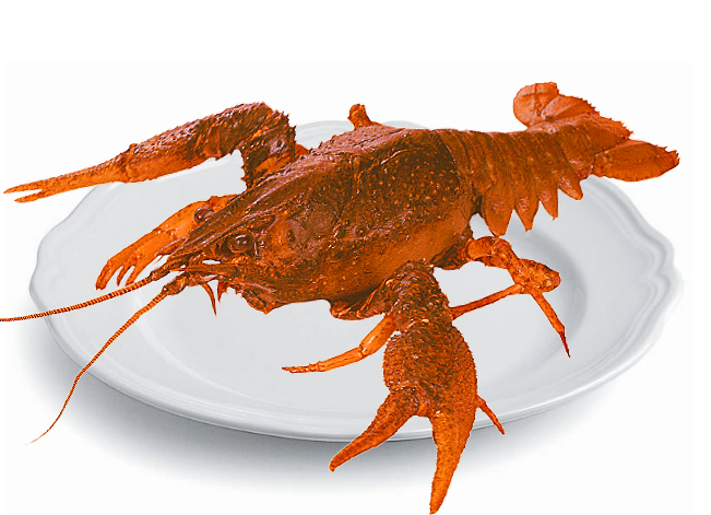 Раки Сочи доставка