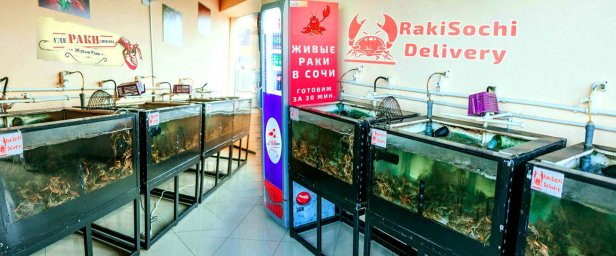 Доставка раков в Сочи